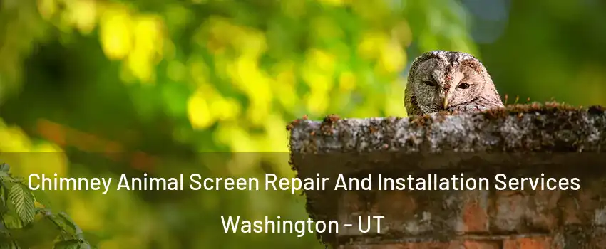  Chimney Animal Screen Repair And Installation Services Washington - UT