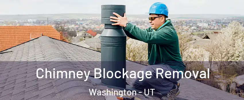  Chimney Blockage Removal Washington - UT