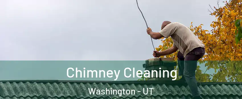  Chimney Cleaning Washington - UT