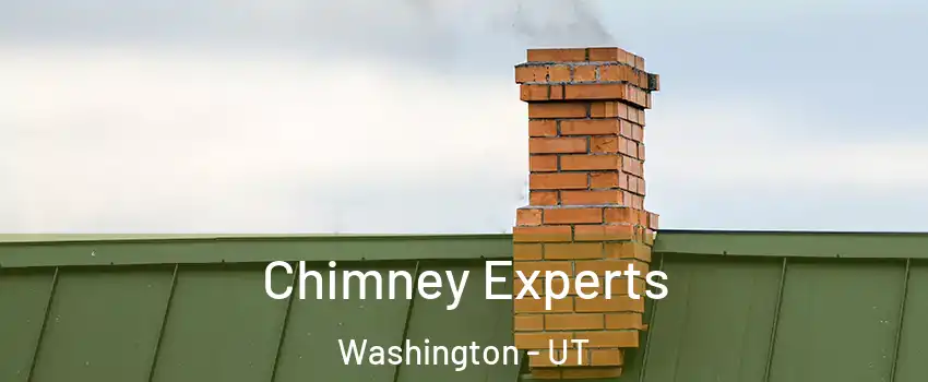  Chimney Experts Washington - UT