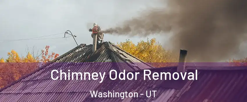  Chimney Odor Removal Washington - UT