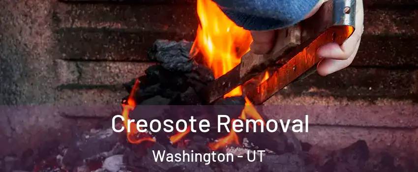  Creosote Removal Washington - UT