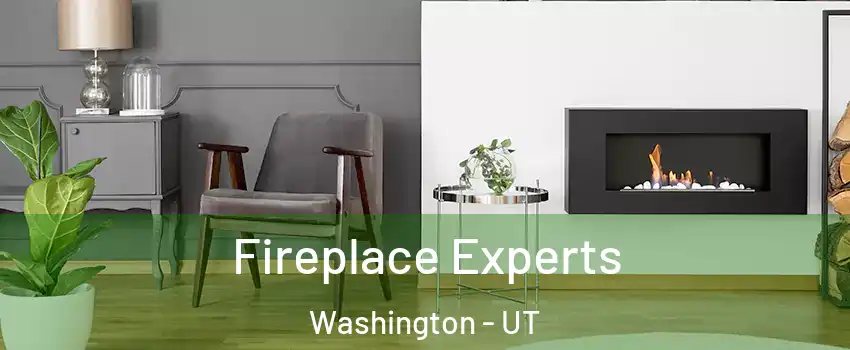  Fireplace Experts Washington - UT