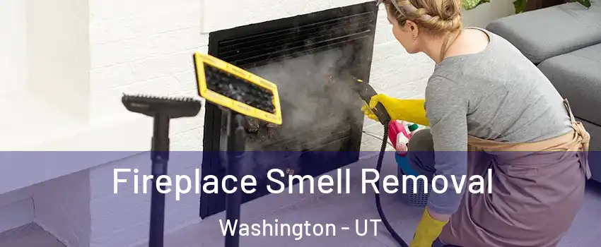  Fireplace Smell Removal Washington - UT