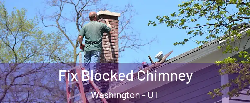  Fix Blocked Chimney Washington - UT