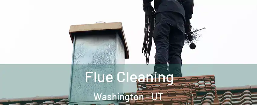  Flue Cleaning Washington - UT