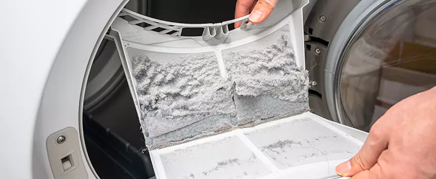 Best Dryer Lint Removal Company in Washington, Utah