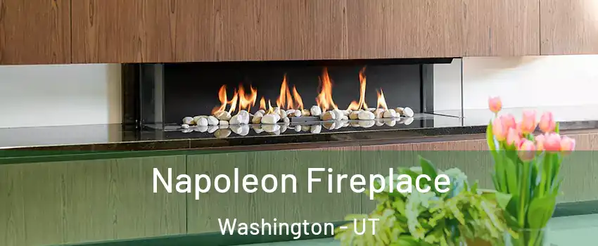  Napoleon Fireplace Washington - UT